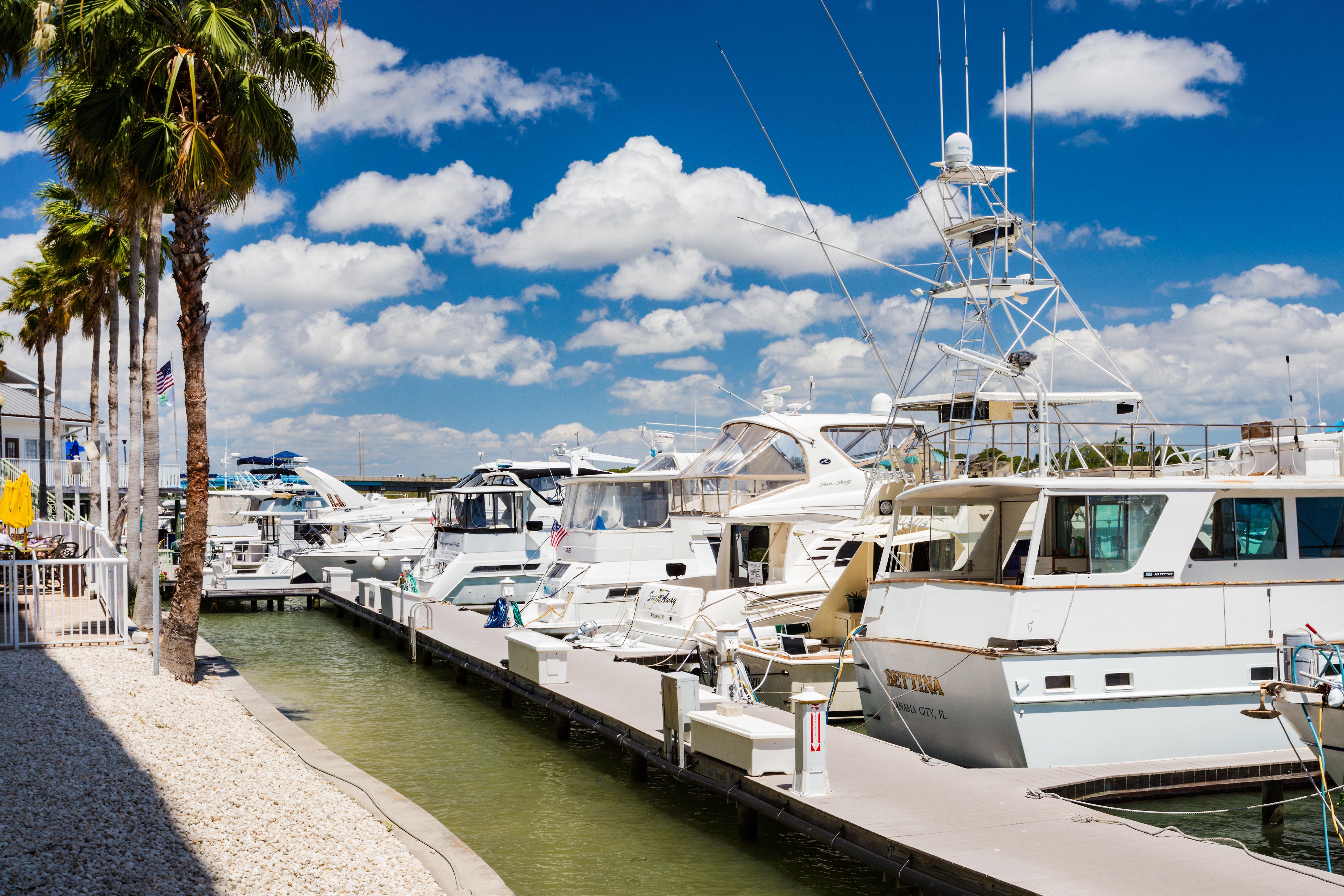 Holiday Inn & Suites Clearwater Beach S-Harbourside מראה חיצוני תמונה