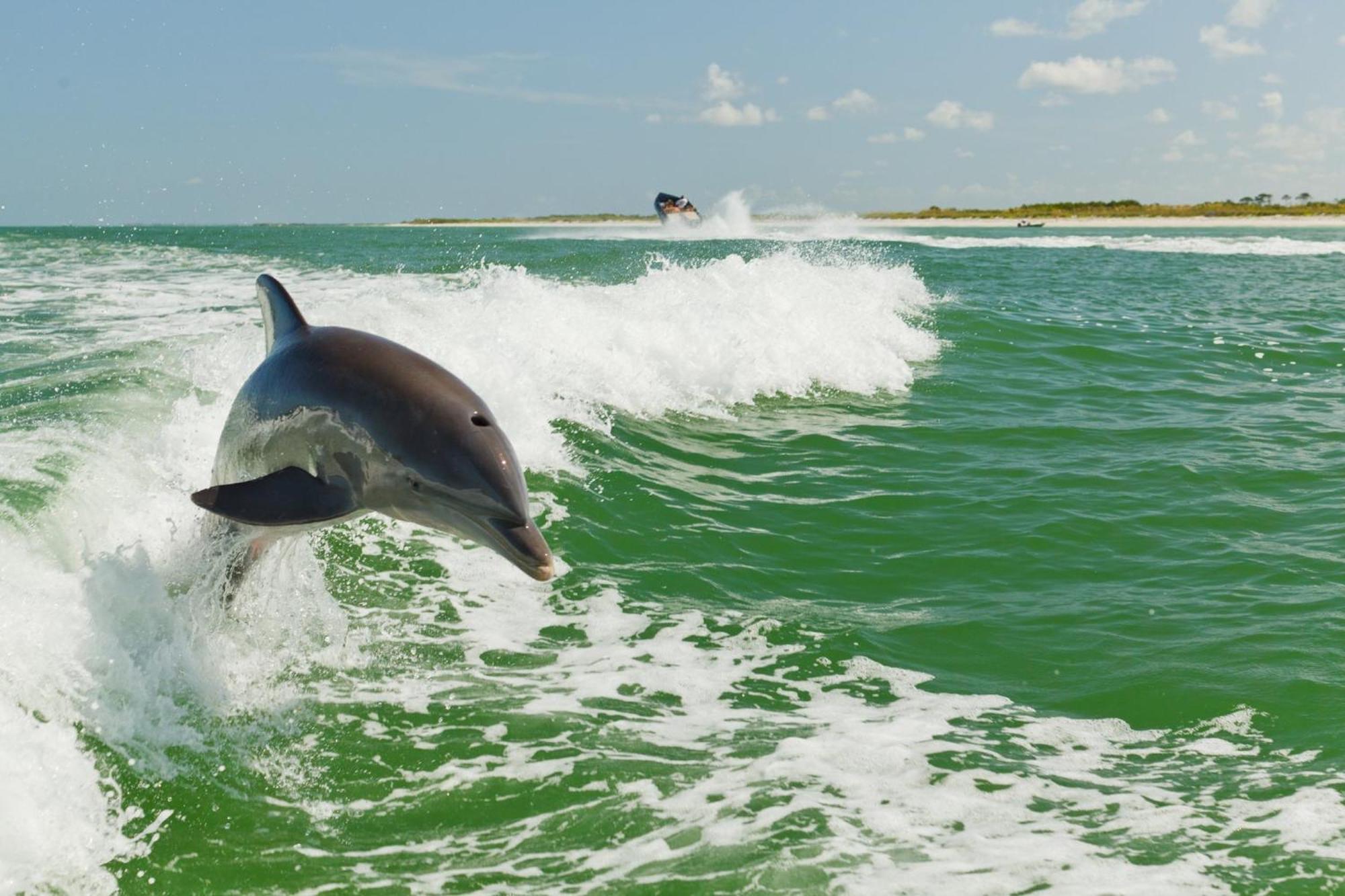 Holiday Inn & Suites Clearwater Beach S-Harbourside מראה חיצוני תמונה